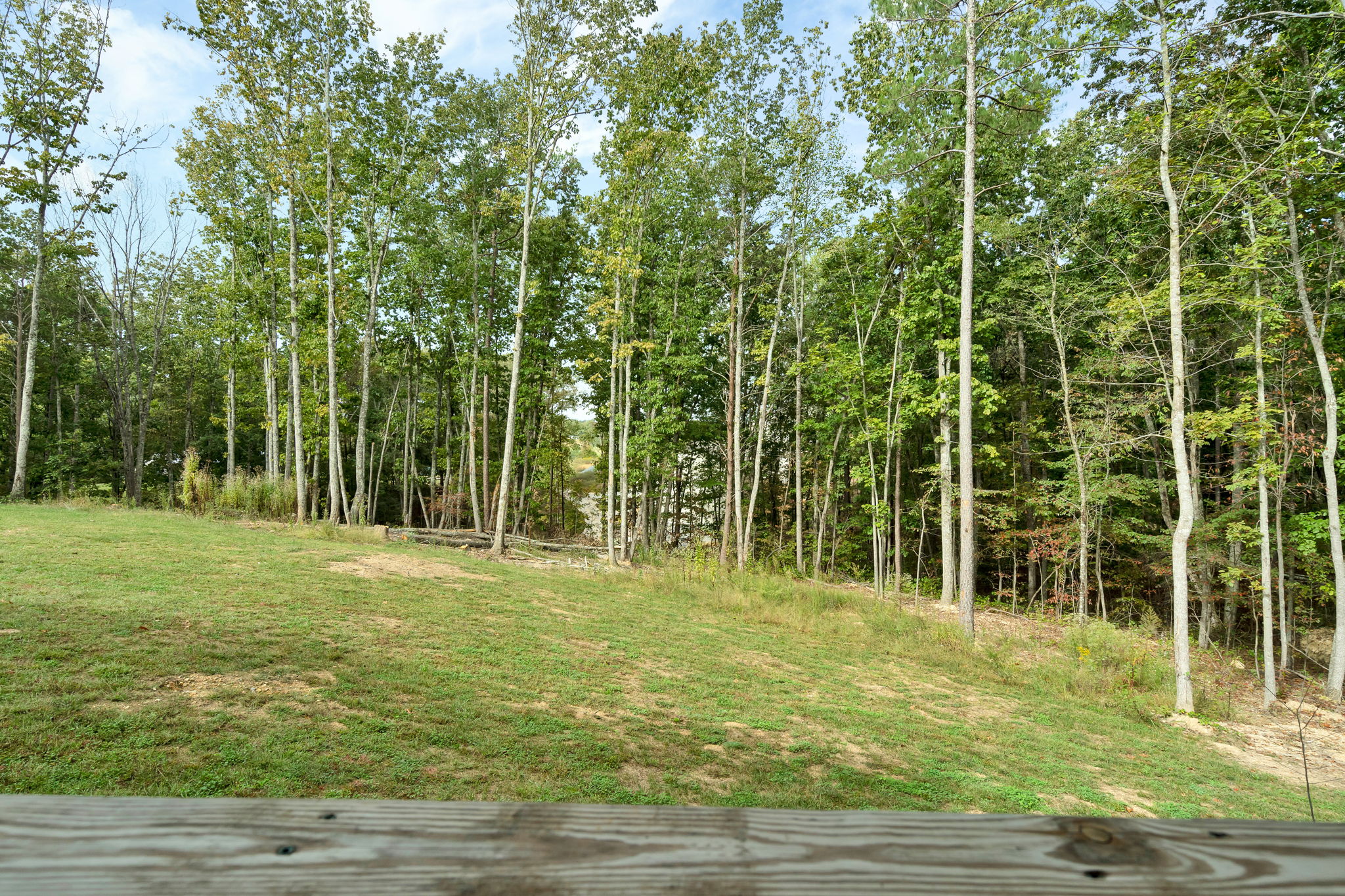 Wooded views from the community